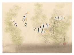 自筆画　魚（仮題）　Fish (tentative title)