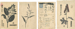 自筆葉書　Postcards