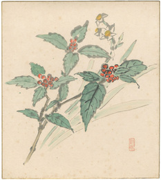 自筆色紙 千兩と水仙　Chloranthus glaber and Narcissus