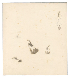 自筆色紙　Shikishi