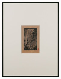 啄木鳥　Woodpecker