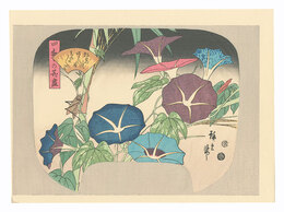 四季の花尽　朝顔【復刻版】　A Compendium of Flowers of the Four Seasons / Morning Glories【Reproduction】