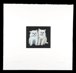 ツインズ　Twins