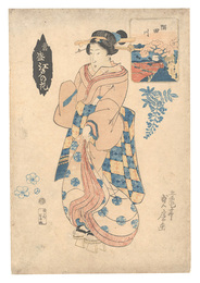 当盛江戸の花　隅田川　Modern Flowers of Edo / The Sumida River