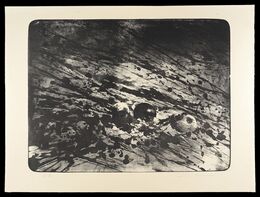 林檎（仮題）　Apples (tentative title)