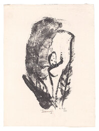 海芋の花　Calla Lily