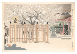 聖地史蹟名勝　廿二　筑紫太宰府天満宮飛梅　Holy Historical Sites / No. 22: Flying Plum of Tukushi Dazaihutenman