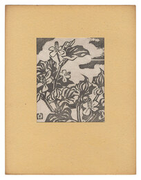 ドクダミ　Chameleon Plant