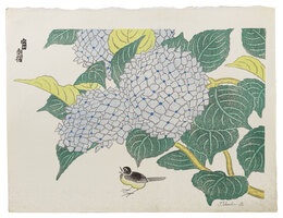 紫陽花（仮題）　Hydrangea (tentative title)