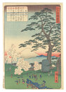 江戸名勝図会　飛鳥山　Views of Famous Places in Edo / Asuka Hill