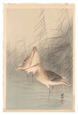 芦に鴫　Snipe and Reeds