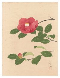自筆画　椿（仮題）　Camellia (tentative title)