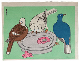 鳩（仮題）　Pigeons (tentative title)