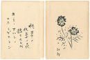 自筆画賛　秋草の花　Gasan (Japanese Painting) : Autumn Grass Flower