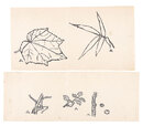 自筆画稿　Drawings