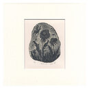 罪無き花　Innocent Flower