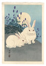 月に兎　Rabbits and the Moon