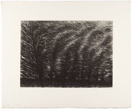 竹林（E）　Bamboo Thicket (E)