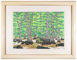 白神山地（春）　Shirakami Sanchi (Spring)