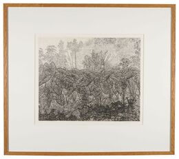 サトイモ畑　Taro Field