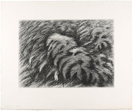 竹林（D）　Bamboo Thicket (D)