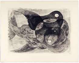 鳥と果実　Birds and Fruits