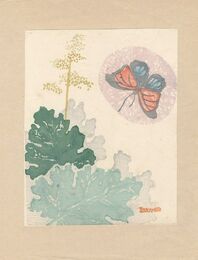 花と蝶／あやめ／牛久沼　Flower and Butterfly / Iris / Ushikunuma