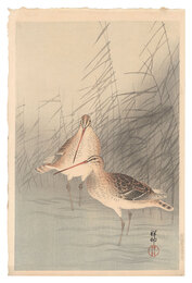 芦に鴫　Snipe and Reeds