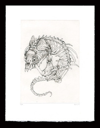 Thrasylle. Planche III