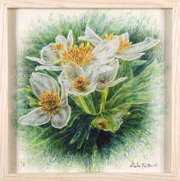 The Silent Drama-Tateyama #01　The Silent Drama-Tateyama #01