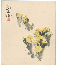 自筆色紙 福寿草（仮題）　Adonis Plant (tentative title)