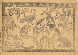 摺物　教育参考最新輸入動物会　Surimono : Imported Animals 