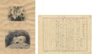 自筆画稿・草稿 熊野（那智神瀧）　Manuscript and Drawing (Nachi Falls, Kumano)