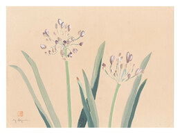 萬華画譜　あかばん　Picture Album of Various Flowers / Akaban