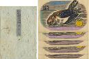 版画絵葉書 第12回 カケス　Woodblock Print Postcard vol.12 Jay (bird)
