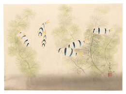 自筆画　魚（仮題）　Fish (tentative title)