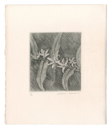 ほととぎす　Toad Lily