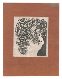 ライラック　Lilac