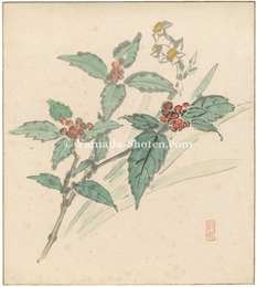 自筆色紙 千兩と水仙　Chloranthus glaber and Narcissus