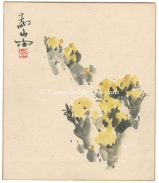 自筆色紙 福寿草（仮題）　Adonis Plant (tentative title)