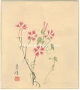 自筆色紙 花（仮題）　Flowers (tentative title)