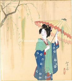 自筆画色紙　Shikishi Paper Board