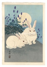 月に兎　Rabbits and the Moon