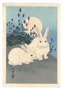 月に兎　Rabbits and the Moon
