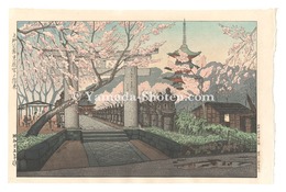 上野公園東照宮の桜花　Cherry Blossoms at Toshogu in Ueno Park