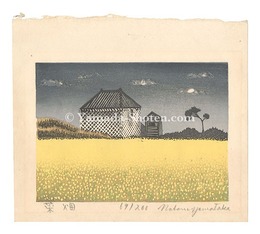 菜畑　Mustard Field