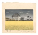 菜畑　Mustard Field