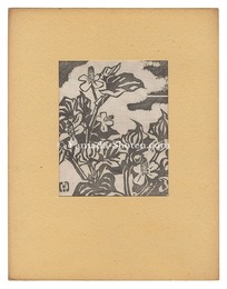 ドクダミ　Chameleon Plant