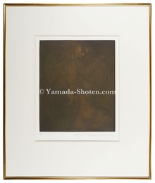 海底のトルソー　Torso under the Sea