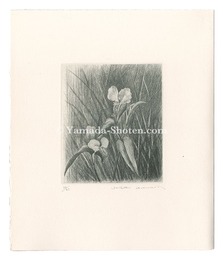 つゆくさ　Dayflower